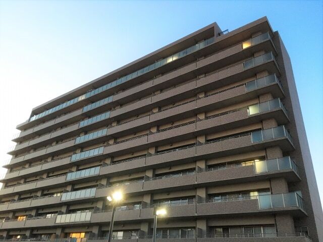 23199966_s