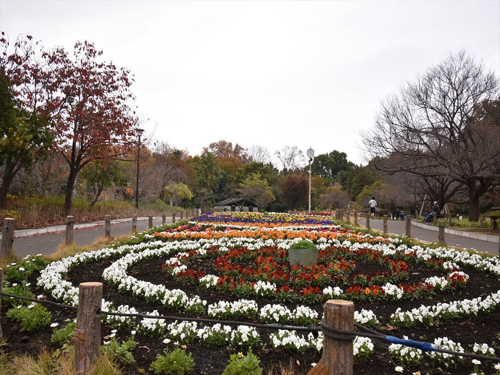 蘆花公園_R