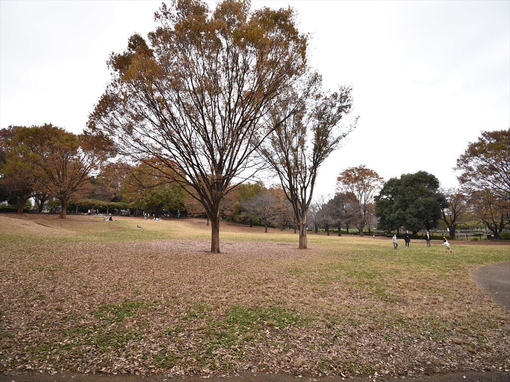 祖師谷公園2_R