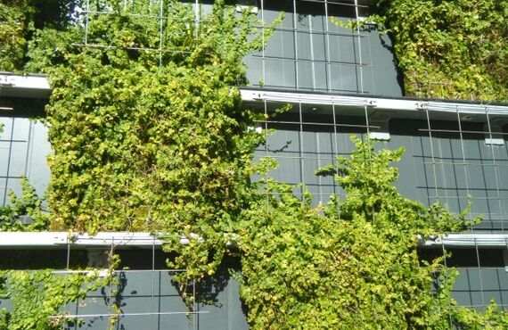 緑化の効果はある？　世田谷で不動産を扱う株式会社Tokyo＆International
