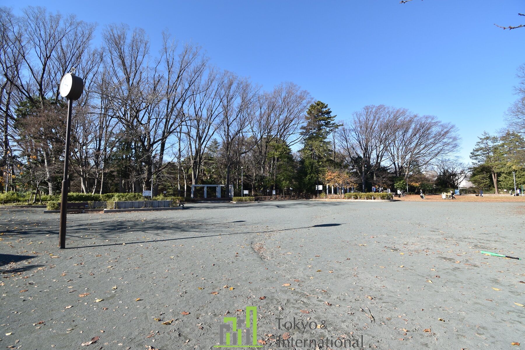 将軍池公園1
